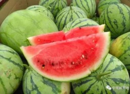 分享一下今日份吃瓜