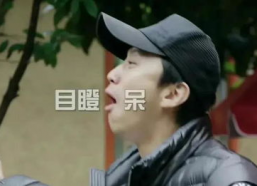 娱乐吃瓜君顶流,顶流明星背后的故事与真相