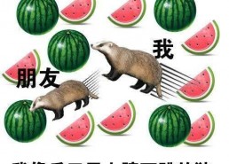 娱乐大晨吃瓜,揭秘娱乐圈最新吃瓜事件，带你领略明星幕后故事