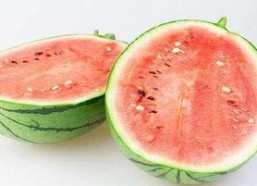 R718sx娱乐吃瓜,揭秘吃瓜群众的狂欢盛宴