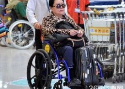 娱乐吃瓜君轮椅