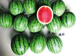 南宁今日吃瓜新闻,今日热点吃瓜新闻盘点