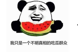 吃瓜表情是什么意思啊内涵,揭秘网络热词背后的趣味与内涵